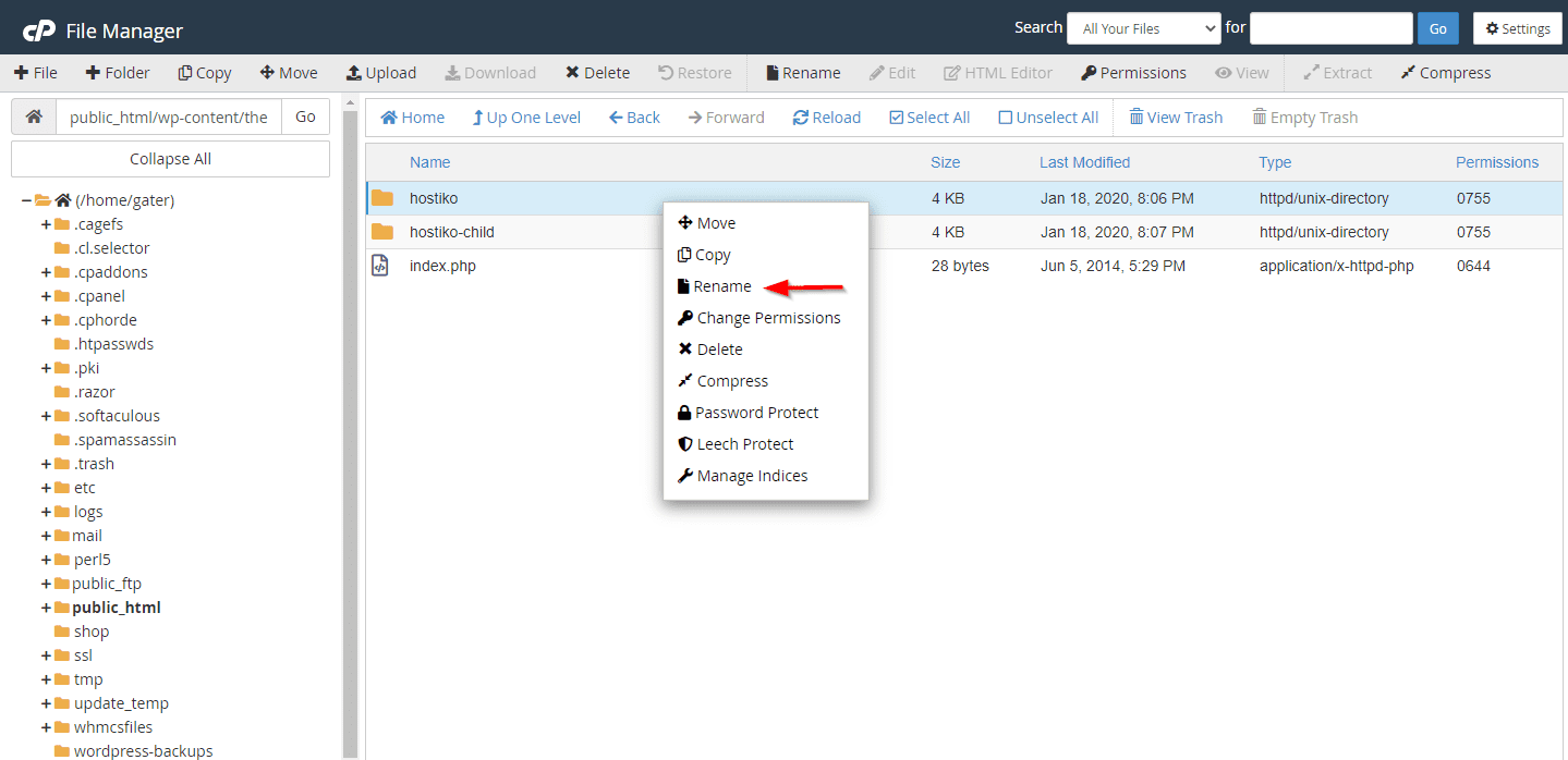 cPanel File Manager Rename Option